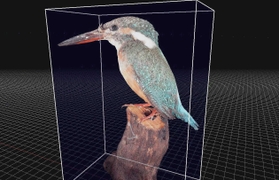 フォトグラメトリによるカワセミの本剥製の３Ｄモデル