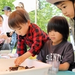 カブトムシの幼虫をこわごわ触ったり、勢いよくつかんだり＝三田市福島