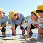 田植え枠に沿ってタイミングをそろえながら苗を植える子どもたち＝三田市西相野