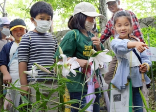 ササユリを観察する子どもたち＝中央公園