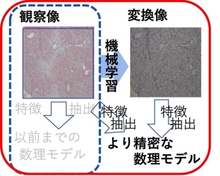 機械学習の画像変換手法を活用した数理モデル