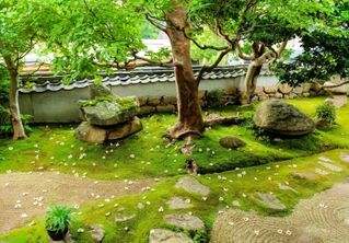 念仏寺の庭