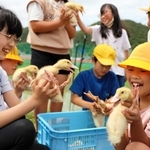 アイガモを持って喜ぶ児童たち＝三田市須磨田