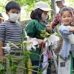 ササユリを観察する子どもたち＝中央公園