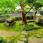 念仏寺の庭