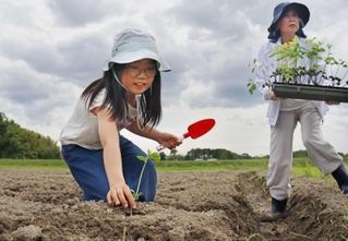 苗が自立するようにしっかり植え付ける子ども＝三田市志手原