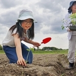 苗が自立するようにしっかり植え付ける子ども＝三田市志手原