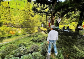 「空中の村」の木々の間に設けられたネット