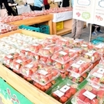 昨年の「さんだいちごマルシェ」の様子＝三田市川除（提供）
