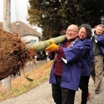 根の付いた状態で掘り出した竹を運ぶ「蔵王松明講」の行者ら＝三田市波豆川