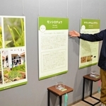 モンシロチョウなど海外からやってきた動植物について話す八木剛主任研究員＝いずれも県立人と自然の博物館