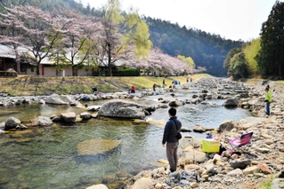 小柿渓谷放流釣り場＝三田市小柿（三田市観光協会提供）
