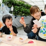 採ったばかりのイチゴを笑顔でほお張る子どもら＝三田市沢谷