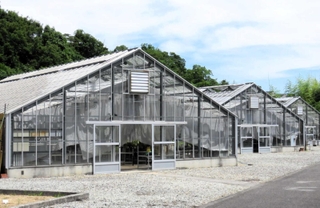 野生植物を栽培・育成するための施設