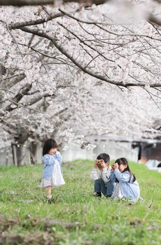 「桜×人」部門の大賞作品「可愛く撮ってね！」（提供）