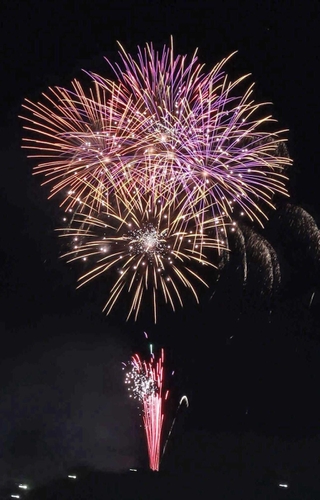 昨夏４年ぶりに復活した「三田まつり」の花火＝三田市川除から