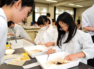 理化部員からアドバイスを受けながら、葉から葉脈を取り出す子どもら＝三田市狭間が丘１、北摂三田高校