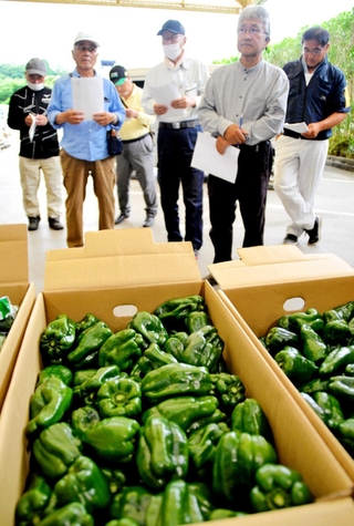 生産者や市場関係者らが集い、三田ピーマンの規格などについて確認した＝三田市川除、パスカルさんだ一番館