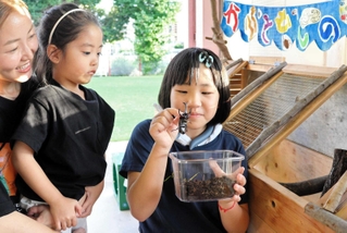 カブトムシハウスから取り出したカブトムシを観察する参加者ら＝三輪幼稚園