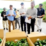 生産者や市場関係者らが集い、三田ピーマンの規格などについて確認した＝三田市川除、パスカルさんだ一番館