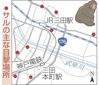 神戸新聞NEXT