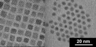 透過型電子顕微鏡で観察した立方体型（左）と球型（右）の量子ドット