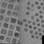 透過型電子顕微鏡で観察した立方体型（左）と球型（右）の量子ドット