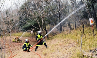 山中での火災を想定し、一斉に放水する消防隊員ら＝三田市大原