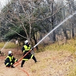山中での火災を想定し、一斉に放水する消防隊員ら＝三田市大原