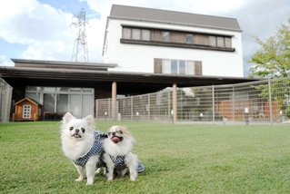 敷地内にあるゆったりとした広さのドッグラン。ペットを飼う利用者の要望に応えた＝三田市対中町（提供）