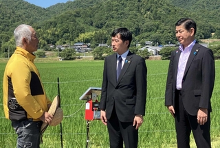 田んぼを視察し、農事組合法人の代表者から説明を聞く新潟県上越市の中川幹太市長（中央）＝三田市上槻瀬