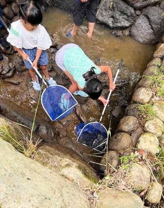 初回のイベントで、魚道で生き物を採集する子どもたち（提供）