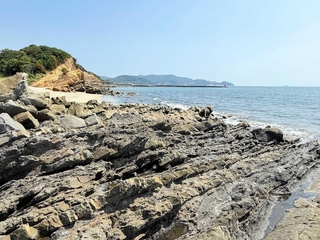 淡路島に分布し、化石が見つかる和泉層群
