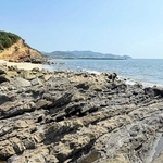 淡路島に分布し、化石が見つかる和泉層群