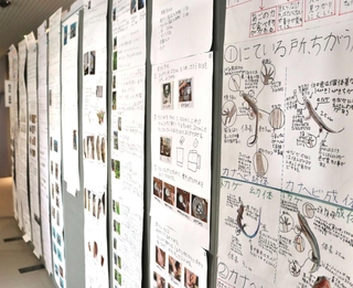 絵や写真を使った力作がそろう作品展＝県立人と自然の博物館
