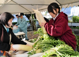大きく育った大根などが人気を集めた＝三田市天神２