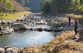 豊かな自然の中で釣りを楽しむ利用客ら＝三田市小柿
