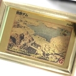 ふるさと納税の返礼品として募集を始めた純金製のダムカード＝三田市役所