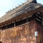 干された渋柿がかやぶき民家の軒先を囲う＝有馬富士公園