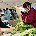 大きく育った大根などが人気を集めた＝三田市天神２