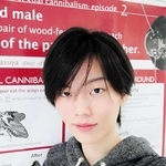 ＜ひとはく研究だより＞大崎遥花研究員　クチキゴキブリ　翅を食べ合う生態の不思議