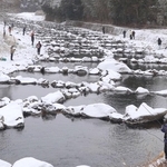 氷点下の三田・小柿で「新春アマゴ釣り大会」　市内外の愛好家28人が釣果競う