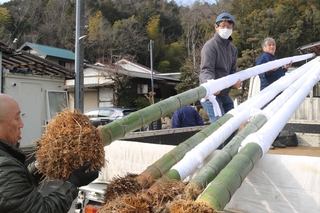 掘り起こした竹をトラックに積んだ＝三田市波豆川