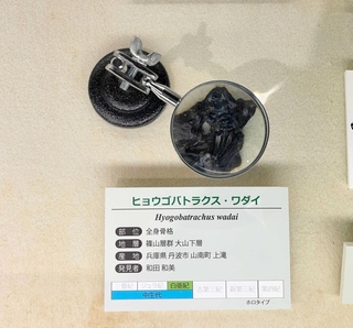 レプリカの展示風景