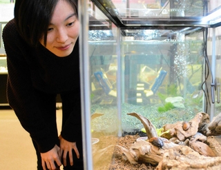 大崎遥花研究員と、研究するマダガスカルオオゴキブリ＝三田市弥生が丘６