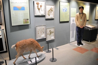 ＤＮＡの仕組みや活用事例について解説。人が展示物になりきれるコーナーもある＝三田市弥生が丘６