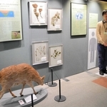 ＤＮＡの仕組みや活用事例について解説。人が展示物になりきれるコーナーもある＝三田市弥生が丘６