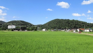 新緑の神鍋山（右）と大机山（左）。神鍋山の山頂には火口が残る