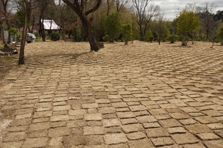 木々が生える広場に市松模様のように芝生が張られた＝三田市中内神