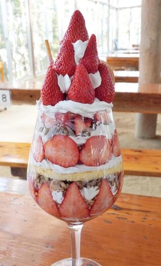 イチゴを約２０個使った特大のイチゴパフェ＝三田市上相野